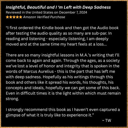 Insightful & Beautiful 5-star review for Andrew Weston Meditations 7 Dec 2024